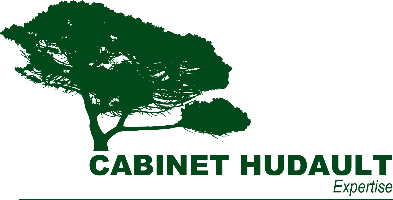 cabinet-hudault.fr